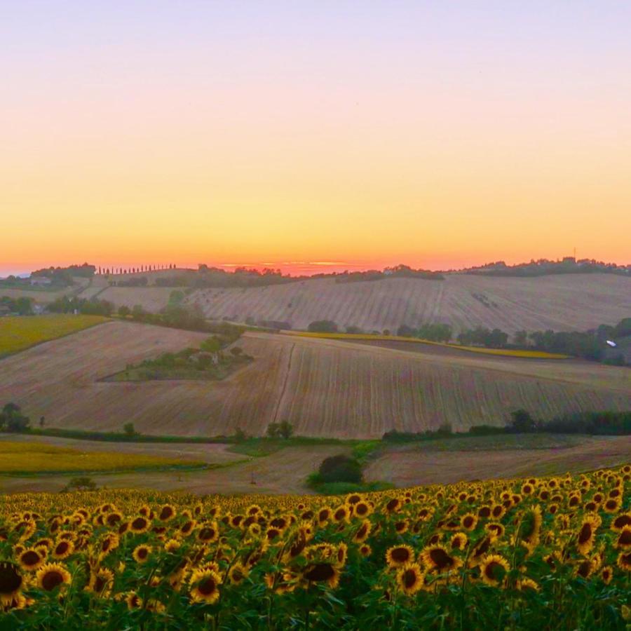 Fontebella Bed & Breakfast Montemarciano Exterior photo