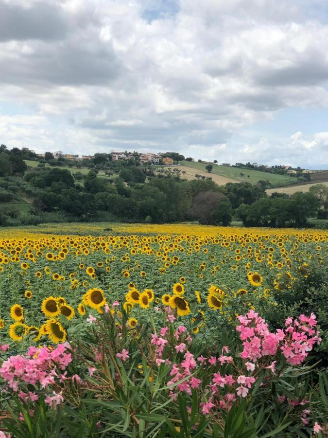 Fontebella Bed & Breakfast Montemarciano Exterior photo