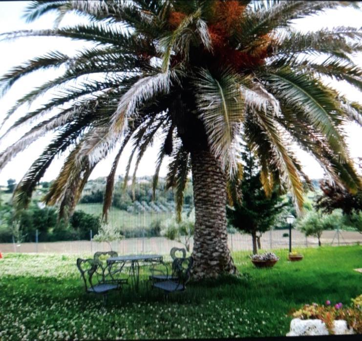 Fontebella Bed & Breakfast Montemarciano Exterior photo