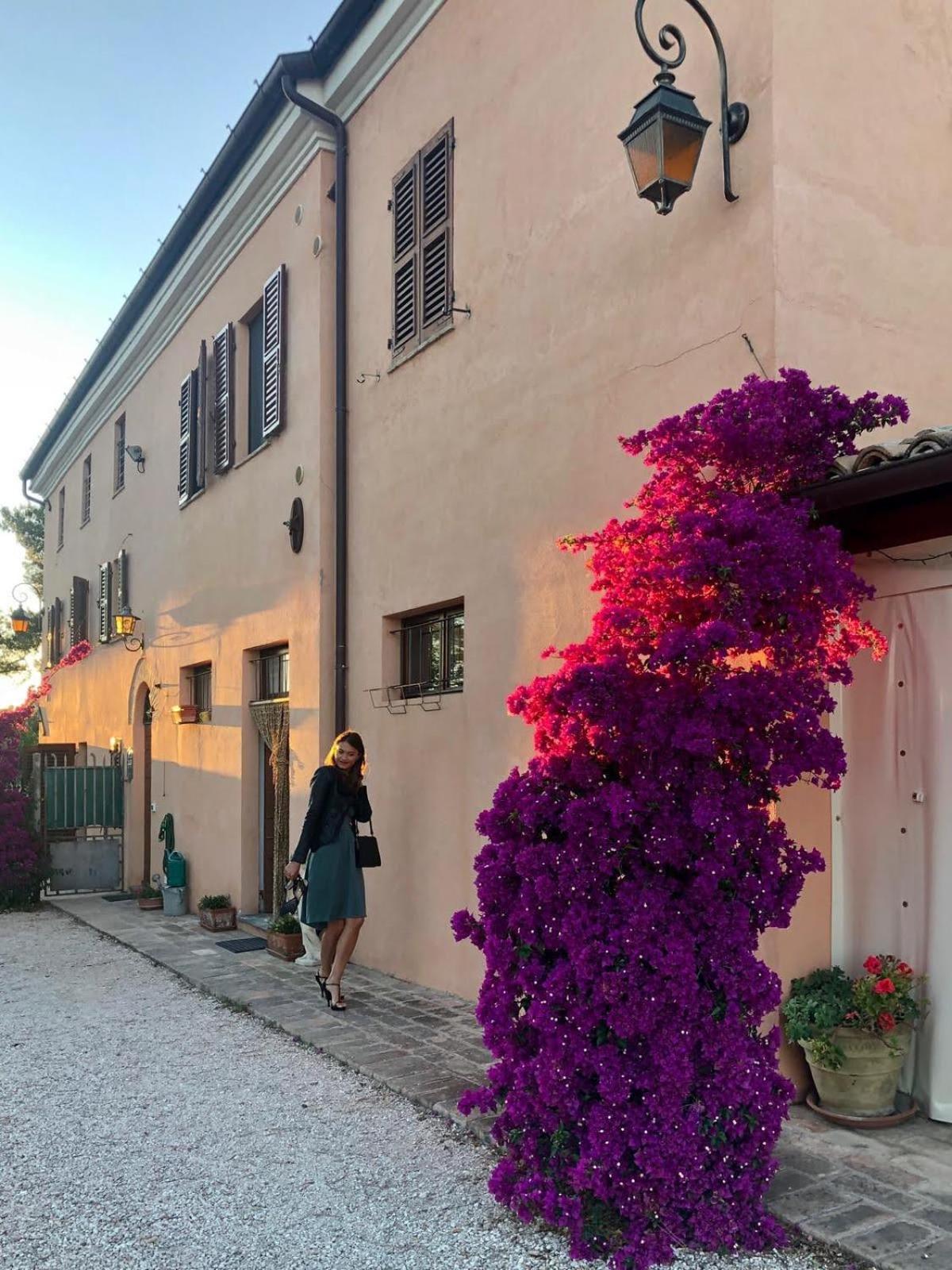 Fontebella Bed & Breakfast Montemarciano Exterior photo