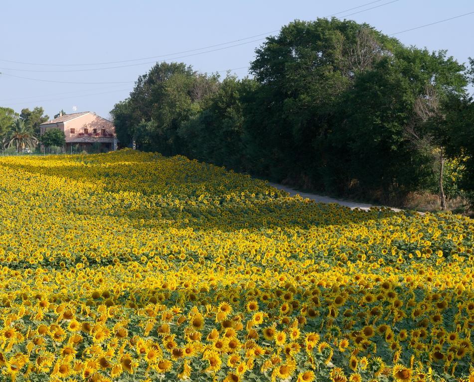 Fontebella Bed & Breakfast Montemarciano Exterior photo